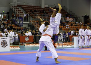 Międzynarodowy Turniej Karate 2015